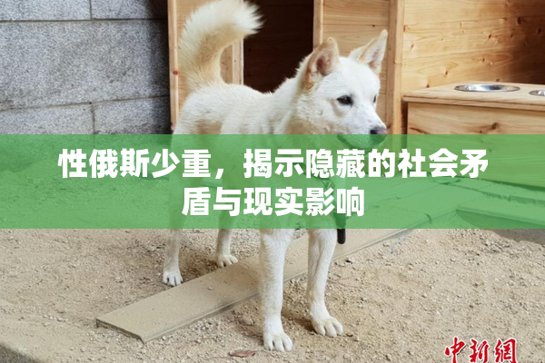 性俄斯少重，揭示隐藏的社会矛盾与现实影响