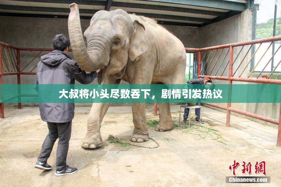 大叔将小头尽数吞下，剧情引发热议