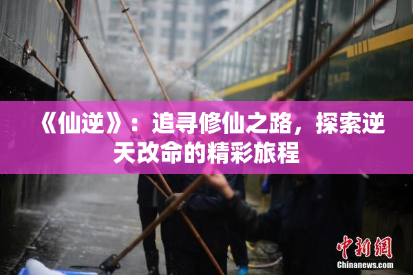 《仙逆》：追寻修仙之路，探索逆天改命的精彩旅程