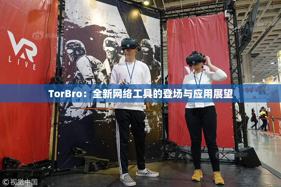 TorBro：全新网络工具的登场与应用展望
