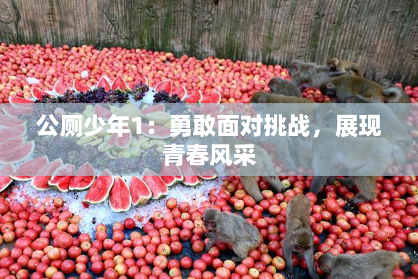 公厕少年1：勇敢面对挑战，展现青春风采