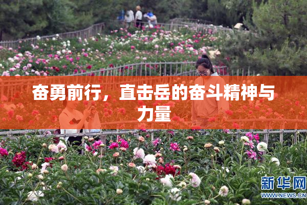 奋勇前行，直击岳的奋斗精神与力量