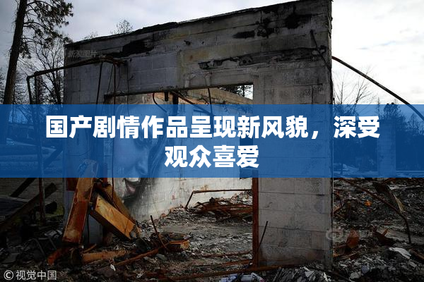 国产剧情作品呈现新风貌，深受观众喜爱