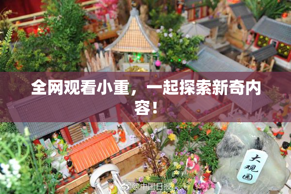 全网观看小重，一起探索新奇内容！