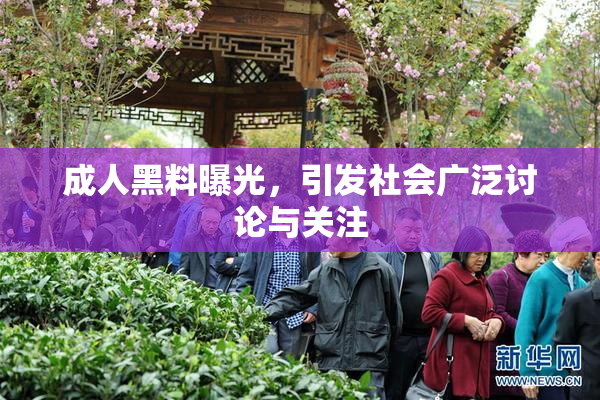 成人黑料曝光，引发社会广泛讨论与关注
