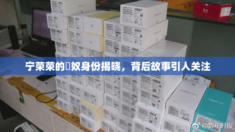 宁荣荣的婬奴身份揭晓，背后故事引人关注