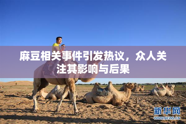 麻豆相关事件引发热议，众人关注其影响与后果