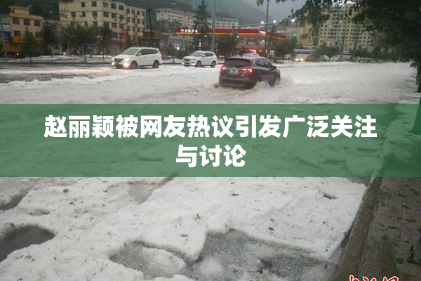 赵丽颖被网友热议引发广泛关注与讨论