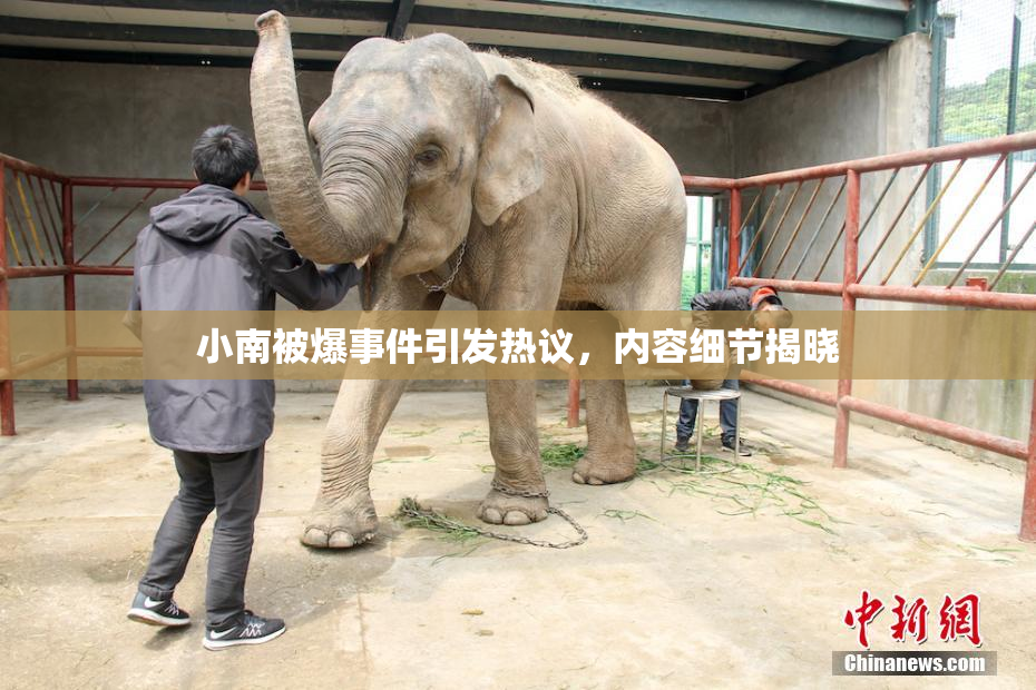 小南被爆事件引发热议，内容细节揭晓