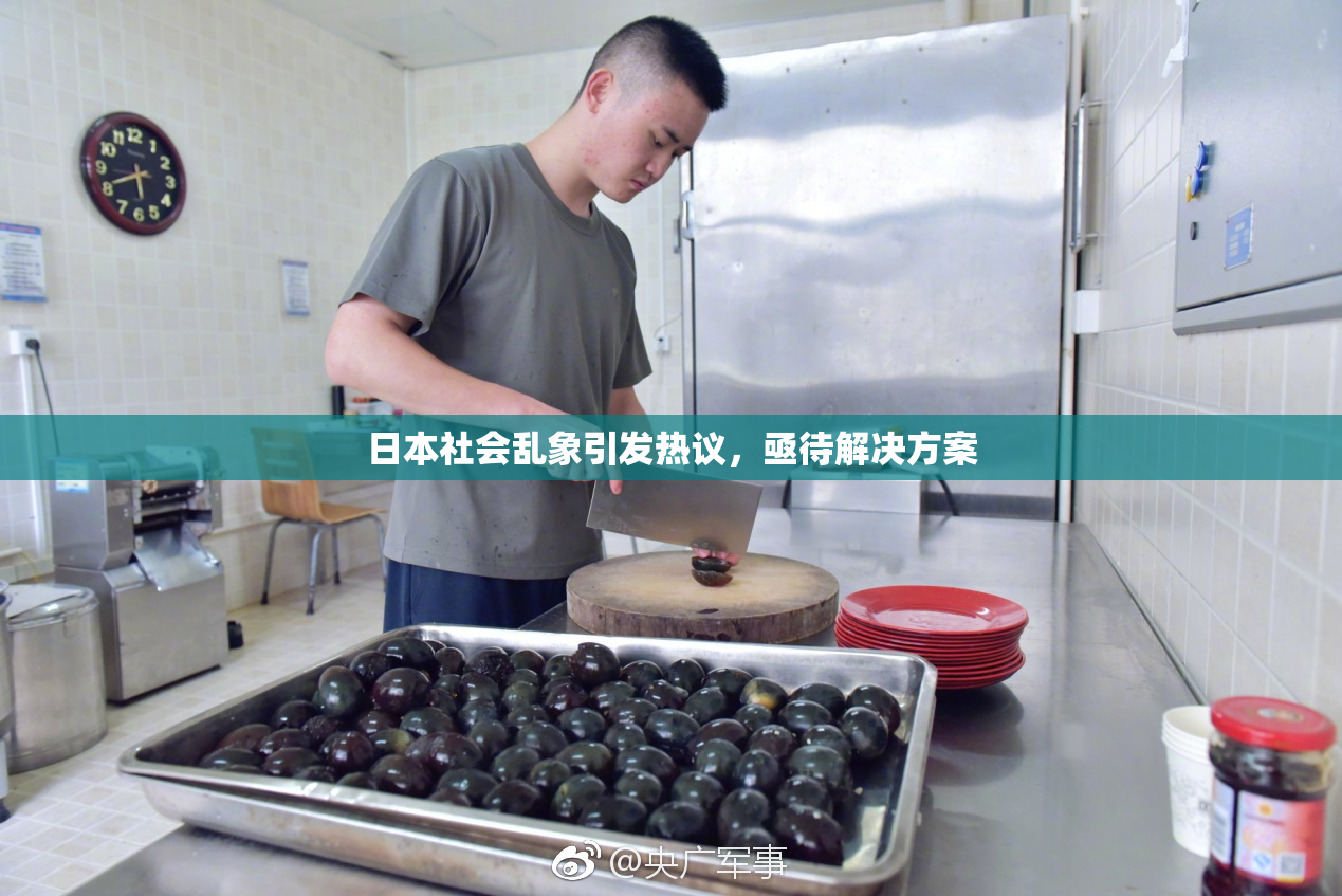 日本社会乱象引发热议，亟待解决方案