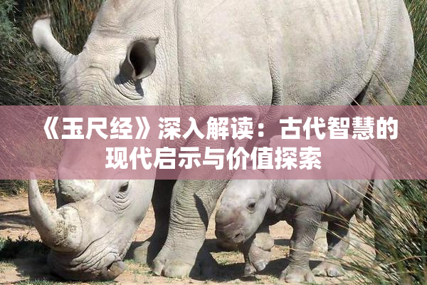 《玉尺经》深入解读：古代智慧的现代启示与价值探索