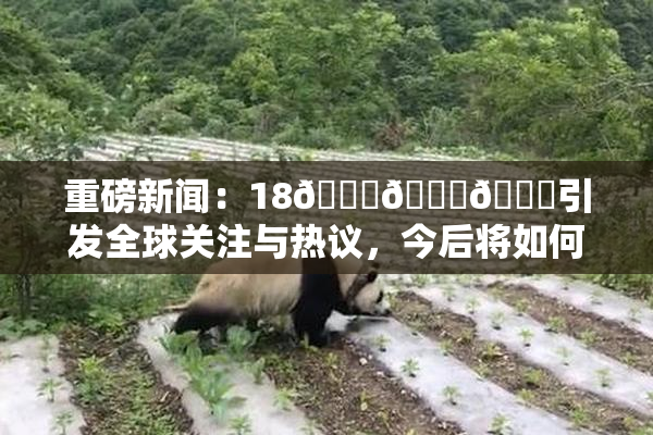 重磅新闻：18🔞🍆🍑引发全球关注与热议，今后将如何发展？