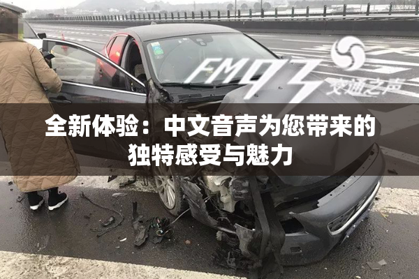 全新体验：中文音声为您带来的独特感受与魅力
