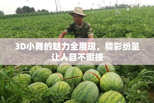 3D小舞的魅力全展现，精彩纷呈让人目不暇接