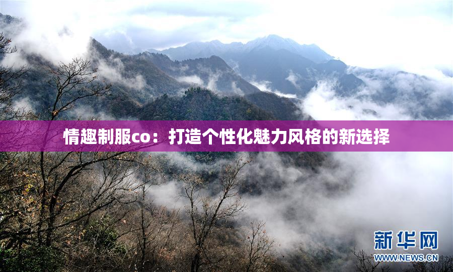 情趣制服co：打造个性化魅力风格的新选择
