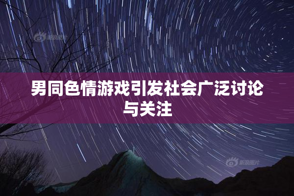 男同色情游戏引发社会广泛讨论与关注