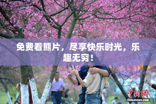 免费看熊片，尽享快乐时光，乐趣无穷！