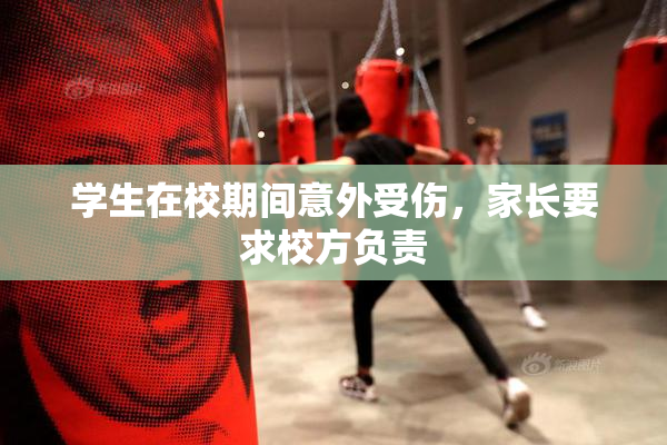学生在校期间意外受伤，家长要求校方负责
