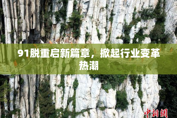 91脱重启新篇章，掀起行业变革热潮