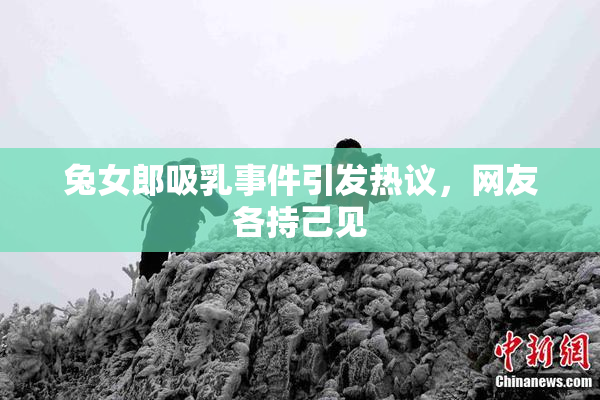 兔女郎吸乳事件引发热议，网友各持己见