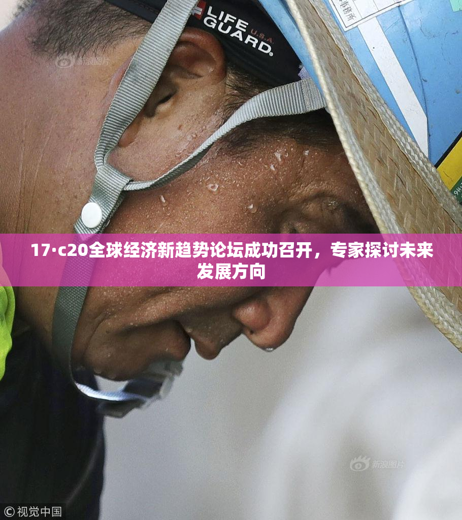 17·c20全球经济新趋势论坛成功召开，专家探讨未来发展方向