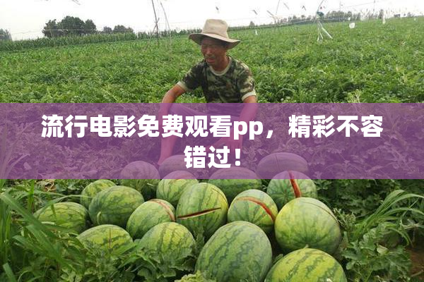 流行电影免费观看pp，精彩不容错过！