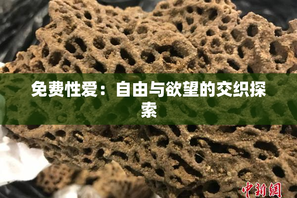免费性爱：自由与欲望的交织探索