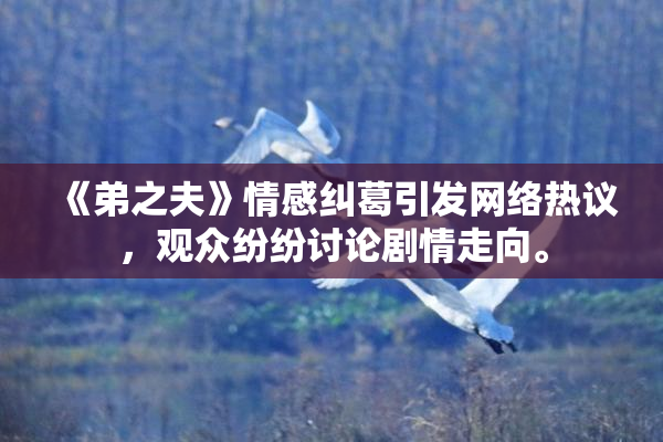 《弟之夫》情感纠葛引发网络热议，观众纷纷讨论剧情走向。