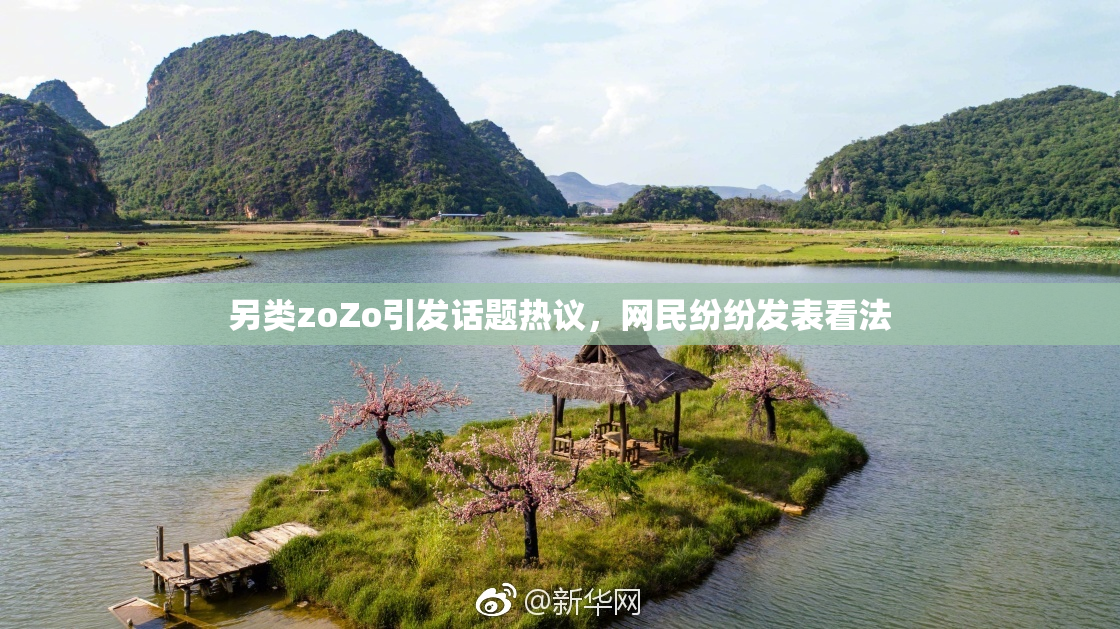 另类zoZo引发话题热议，网民纷纷发表看法