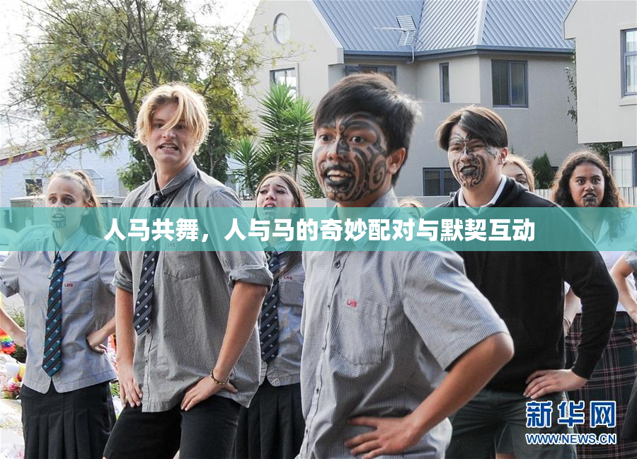 人马共舞，人与马的奇妙配对与默契互动