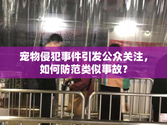 宠物侵犯事件引发公众关注，如何防范类似事故？