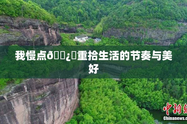 我慢点🌿‌重拾生活的节奏与美好
