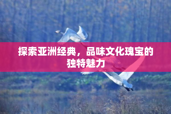 探索亚洲经典，品味文化瑰宝的独特魅力