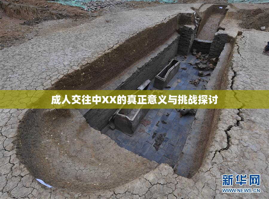 成人交往中XX的真正意义与挑战探讨
