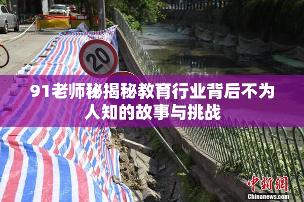 91老师秘揭秘教育行业背后不为人知的故事与挑战