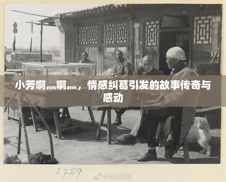 小芳啊灬啊灬，情感纠葛引发的故事传奇与感动