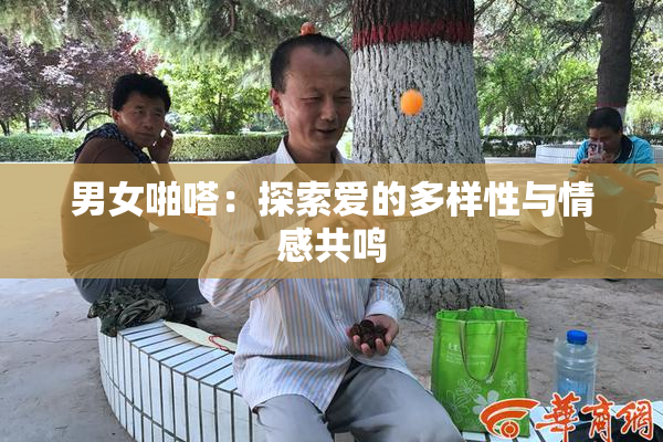 男女啪嗒：探索爱的多样性与情感共鸣