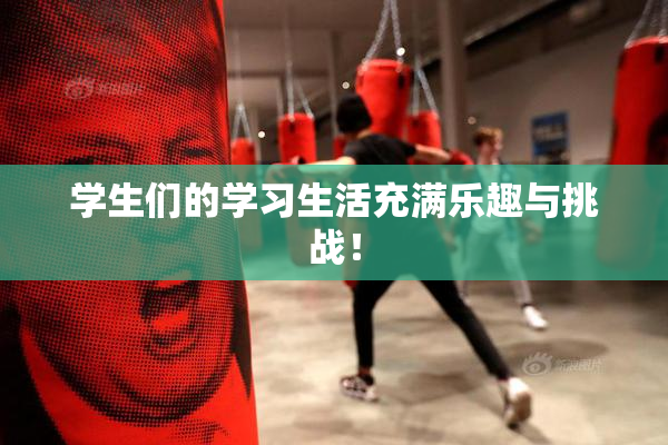 学生们的学习生活充满乐趣与挑战！