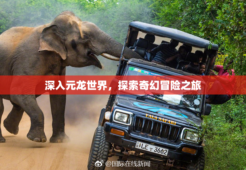 深入元龙世界，探索奇幻冒险之旅