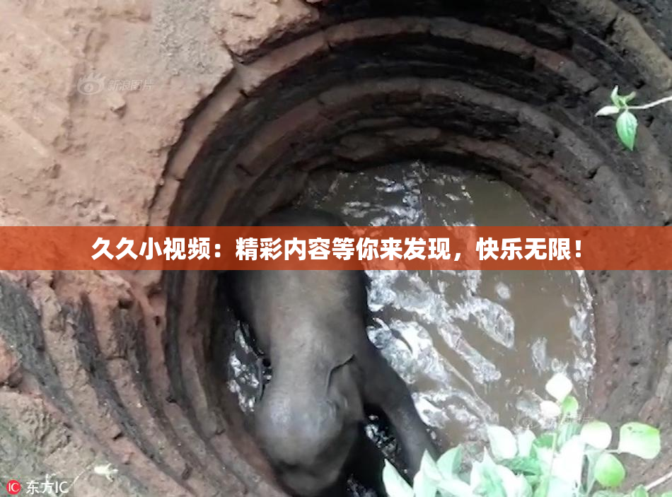 久久小视频：精彩内容等你来发现，快乐无限！