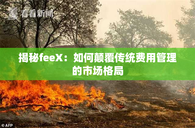 揭秘feeX：如何颠覆传统费用管理的市场格局
