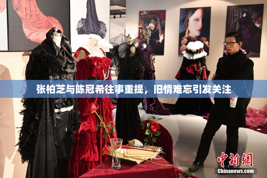 张柏芝与陈冠希往事重提，旧情难忘引发关注