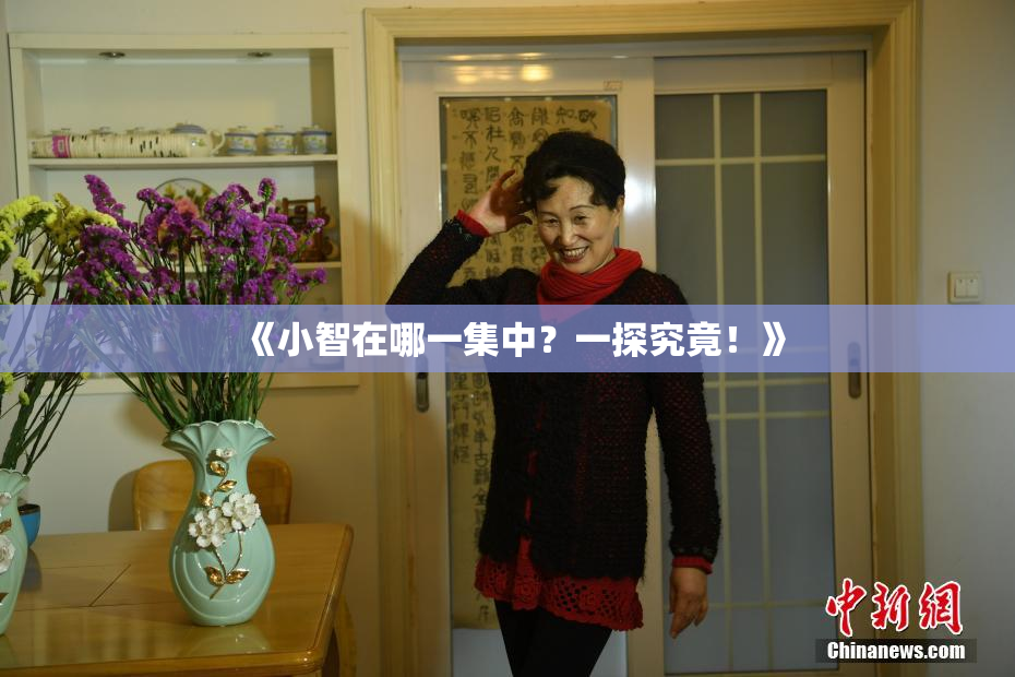 《小智在哪一集中？一探究竟！》