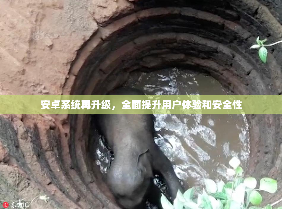 安卓系统再升级，全面提升用户体验和安全性