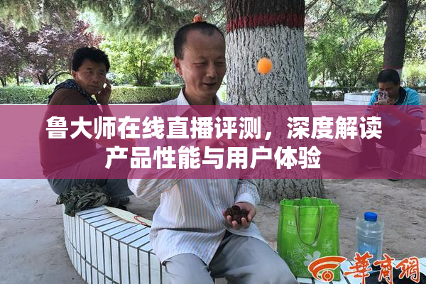 鲁大师在线直播评测，深度解读产品性能与用户体验