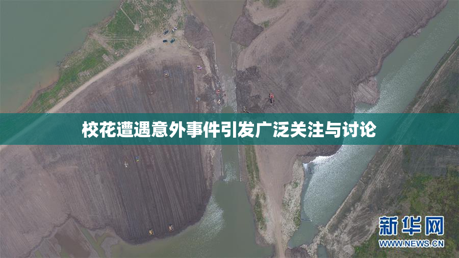 校花遭遇意外事件引发广泛关注与讨论