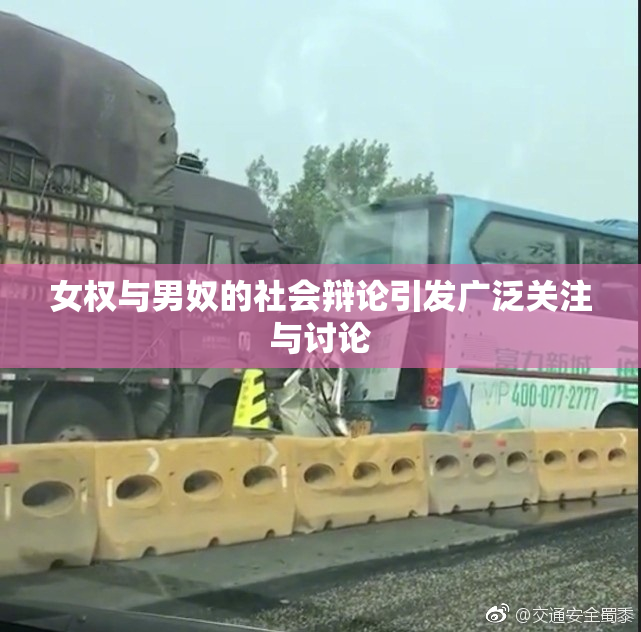 女权与男奴的社会辩论引发广泛关注与讨论