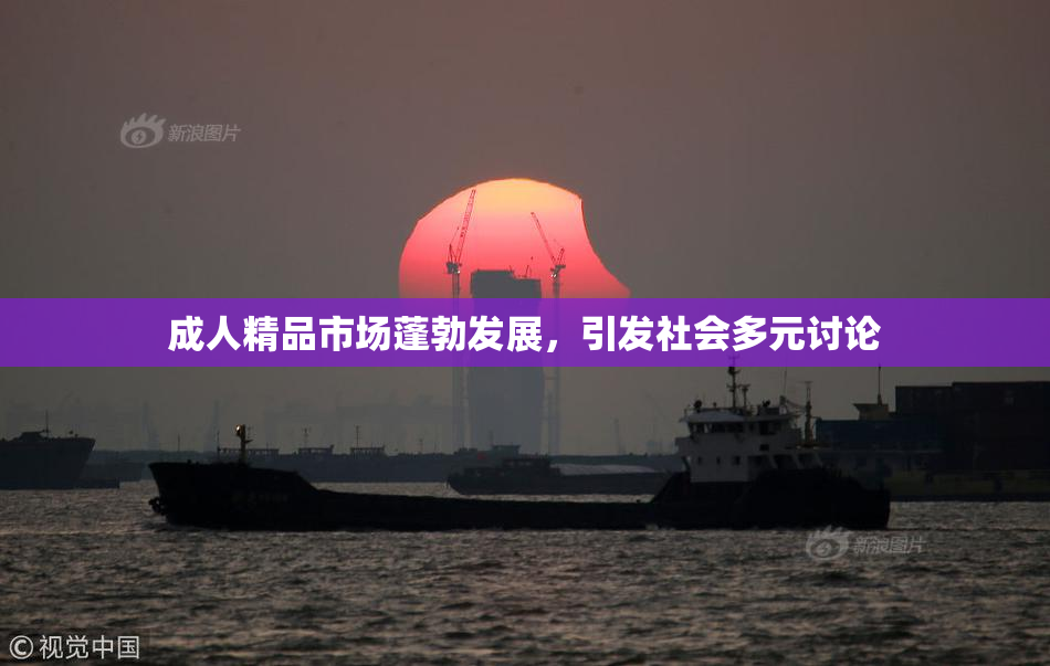 成人精品市场蓬勃发展，引发社会多元讨论