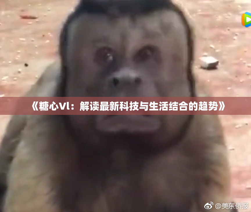 《糖心Vl：解读最新科技与生活结合的趋势》