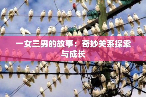一女三男的故事：奇妙关系探索与成长